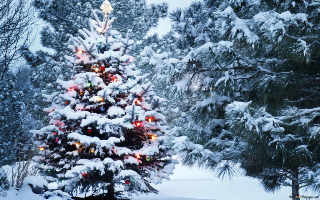 Enchanting Christmas Tree in Snowy Landscape with Colorful Lights Wallpaper