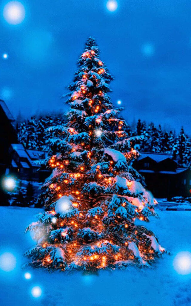 Serene Christmas Tree Glowing in Snowy Evening Landscape Wallpaper