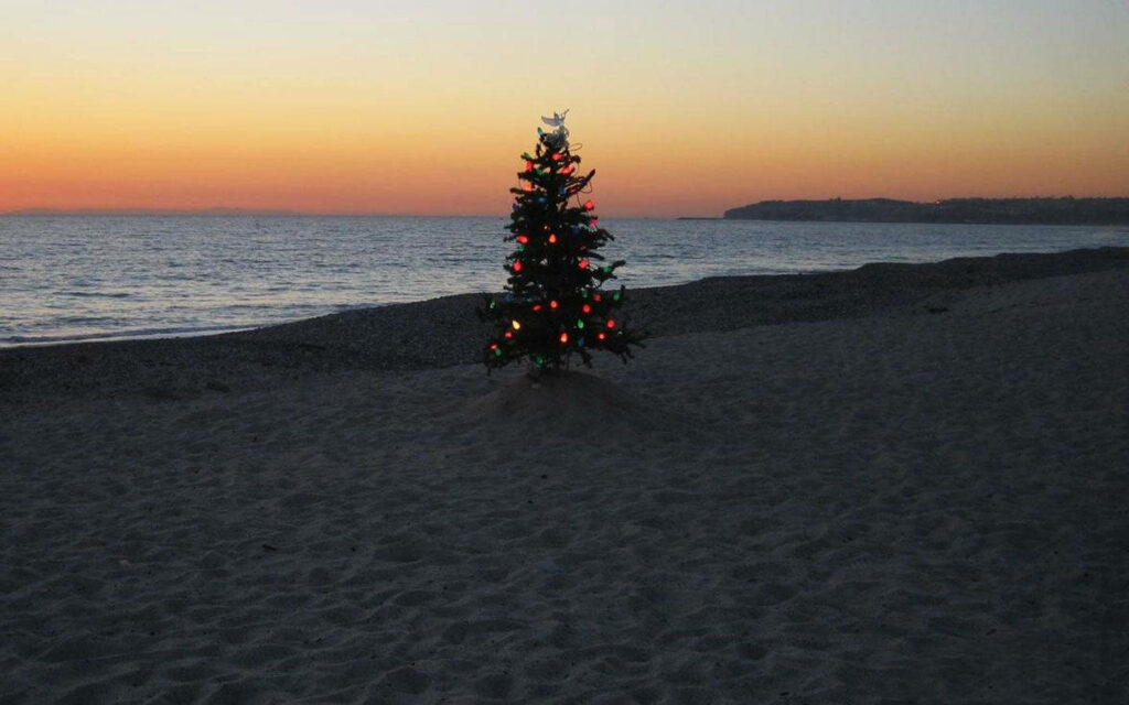 Festive Christmas Tree Wallpaper: Beach Sunset Background