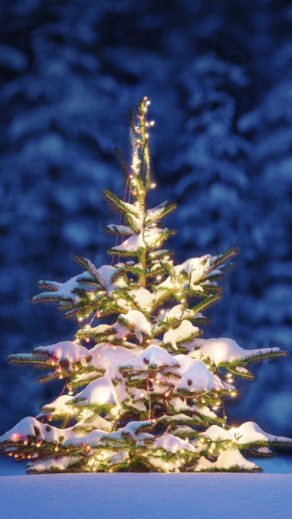 Tranquil Christmas Tree in Snowy Landscape: Festive & Illuminated Wallpaper