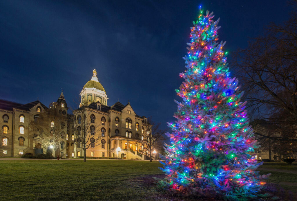 Festive Christmas Tree at Notre Dame: Iconic Holiday Scene Wallpaper