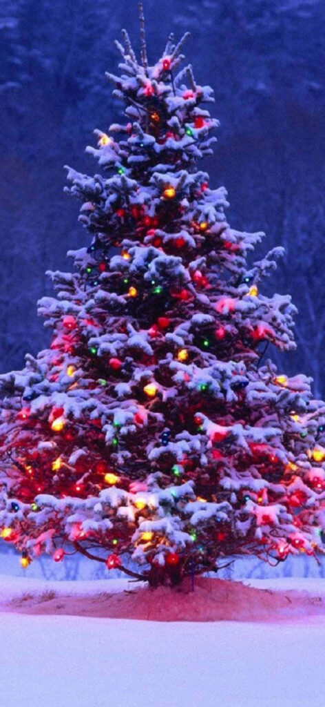 Serene Snowy Christmas Tree Wallpaper for Your iPhone