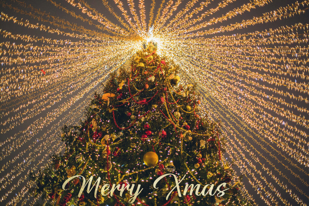 Beautiful Christmas Tree Wallpaper with Merry Xmas Greeting