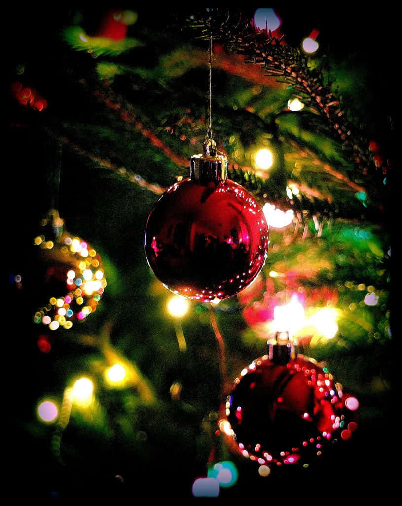 Festive Christmas Tree Wallpaper with Red Baubles & Glowing Lights