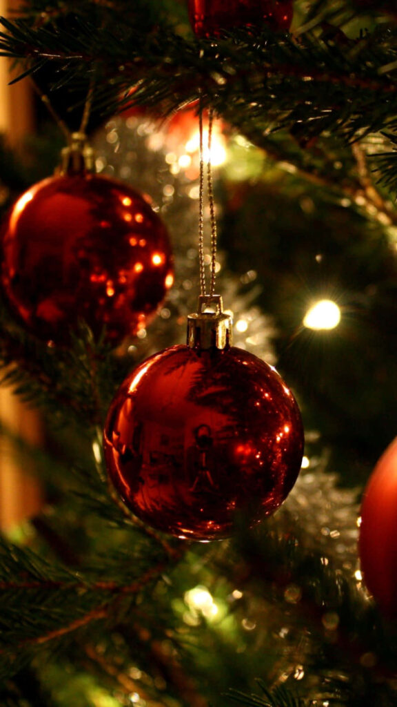 Festive Christmas Tree Close-Up Wallpaper with Red Baubles & Lights