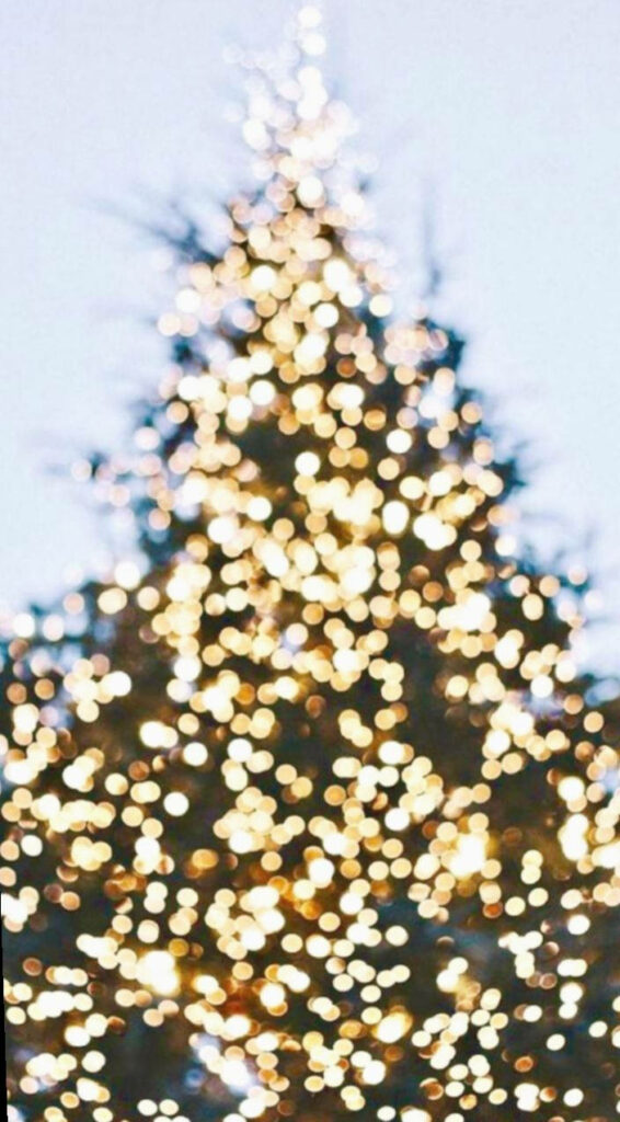 Charming Christmas Tree Wallpaper with Shimmering Holiday Lights