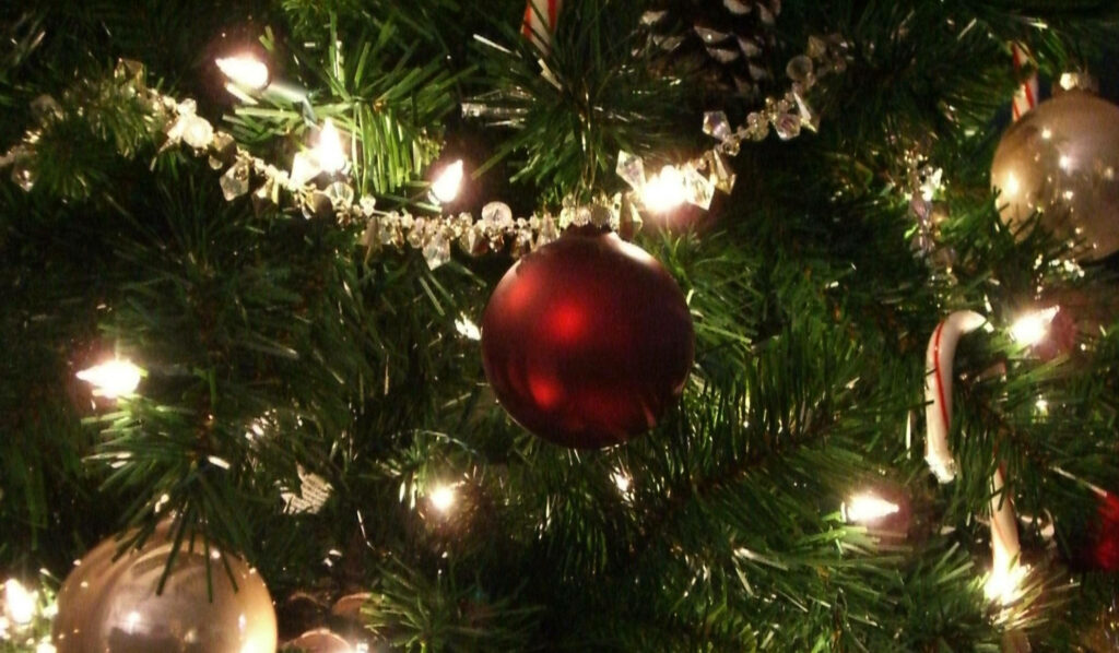 “Cozy Christmas Widescreen Wallpaper: Decorated Tree & Sparkling Lights”