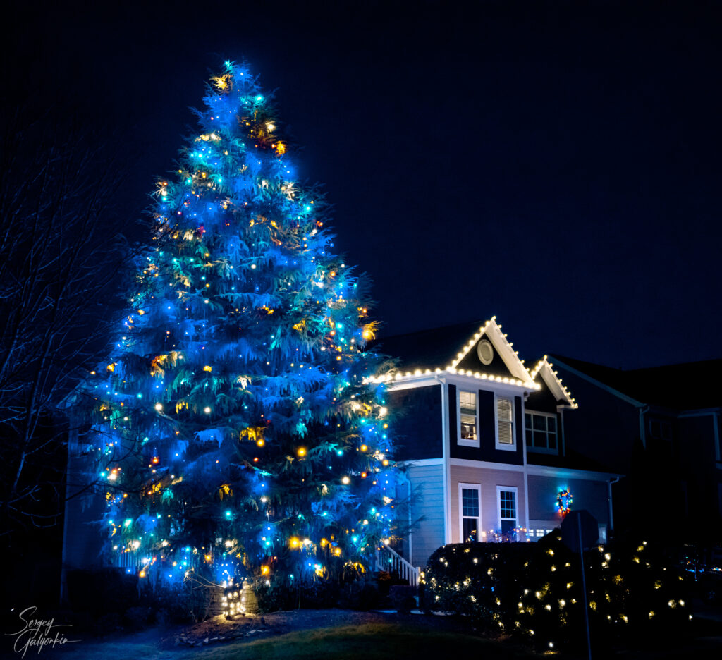 Festive Christmas House Wallpaper with Vibrant Decorations & Tree