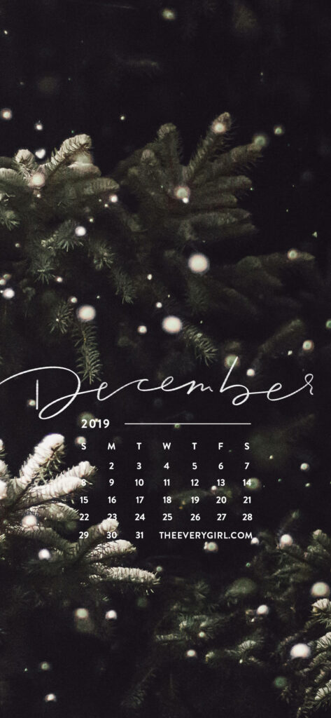 Festive December iPhone Wallpaper: Snowy Evergreens & 2019 Calendar