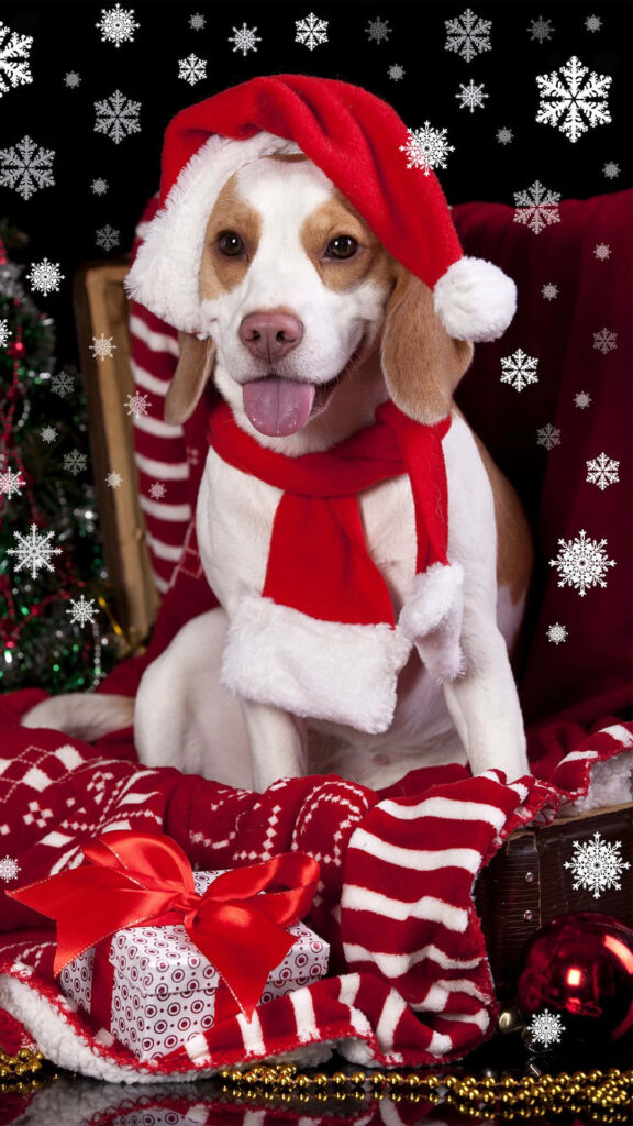 Cheerful Dog in Santa Hat: Festive Holiday Wallpaper with Snowflakes