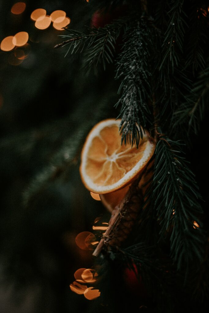 Festive Dried Orange Slice Wallpaper with Cozy Spruce and Bokeh Lights
