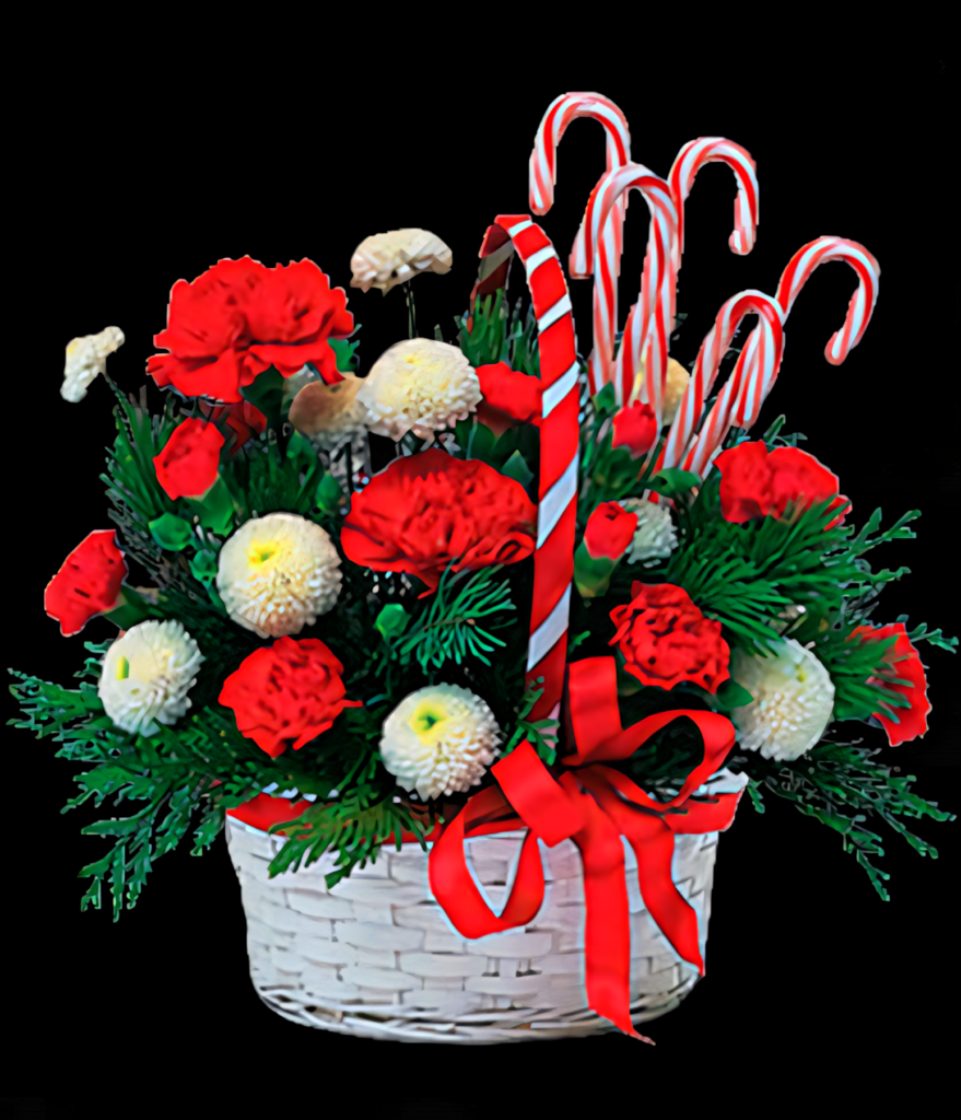 Vibrant Floral Christmas Wallpaper with Carnations & Candy Canes