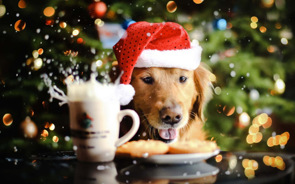 Cheerful Golden Retriever by Christmas Tree - Festive Wallpaper