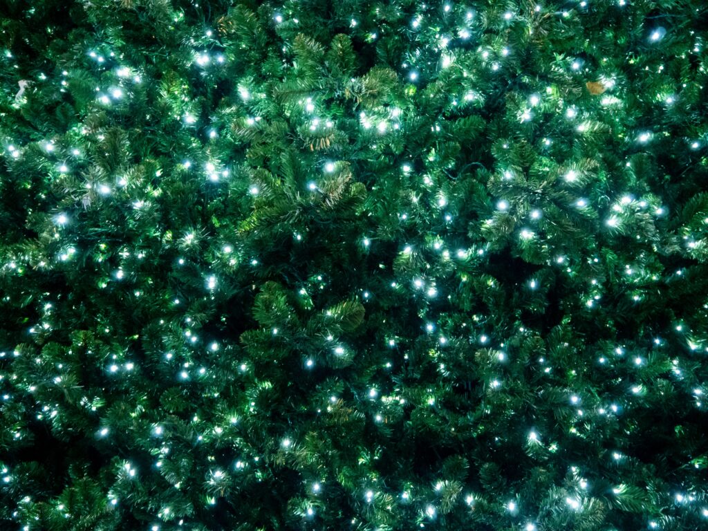 Lush Green Christmas Tree Wallpaper with Twinkling White Lights