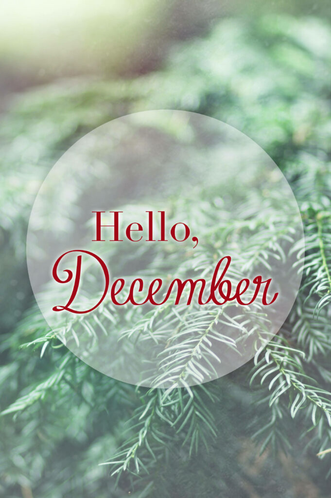 Festive 'Hello, December' Wallpaper with Green Pine Background