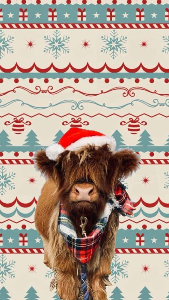 Festive Highland Cow in Santa Hat - Cheerful Holiday Wallpaper