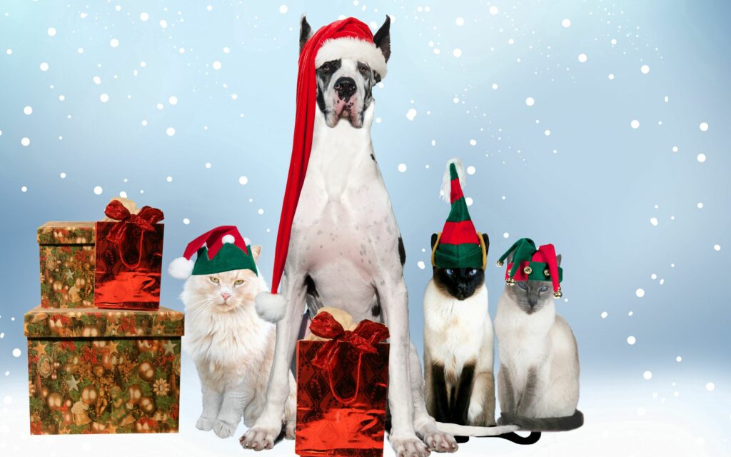 Holiday Pets in Costumes: Joyful Dogs and Cats Against Snowy Background Wallpaper