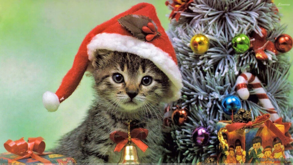 Adorable Kitten in Santa Hat by Colorful Christmas Tree Wallpaper