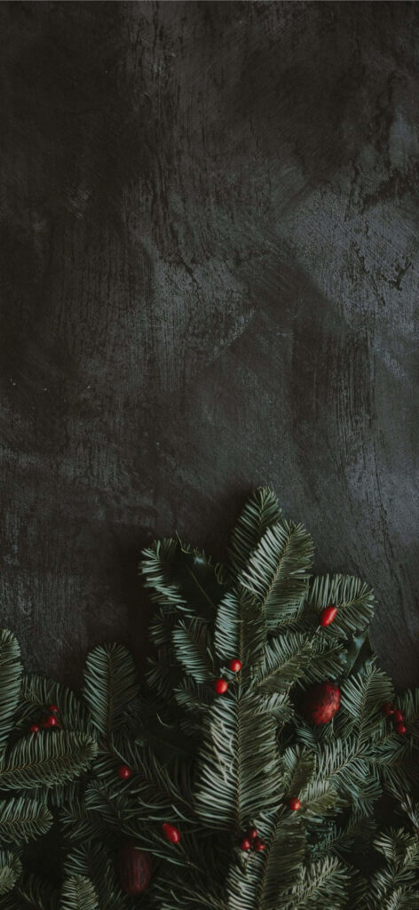 Festive Dark Background with Pine Branches & Red Berries Wallpaper