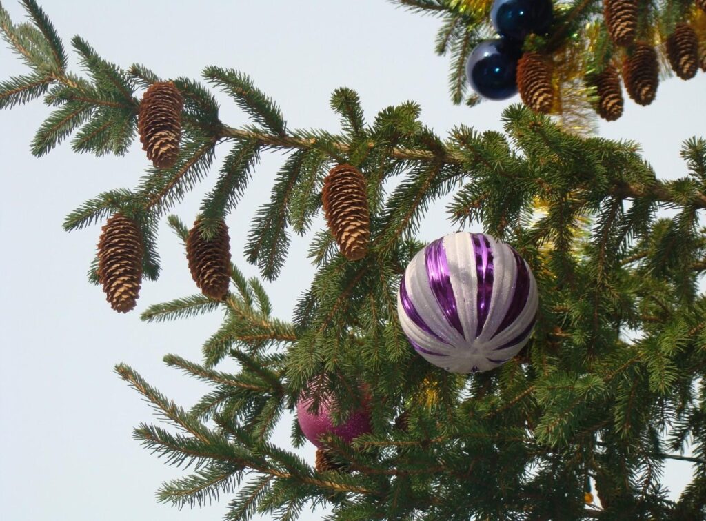 Cheerful Pine Tree Wallpaper with Ornaments for Christmas Spirit