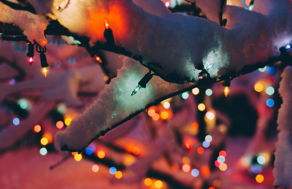 Festive Snow-Covered Tree Branch with Colorful Christmas Lights Wallpaper