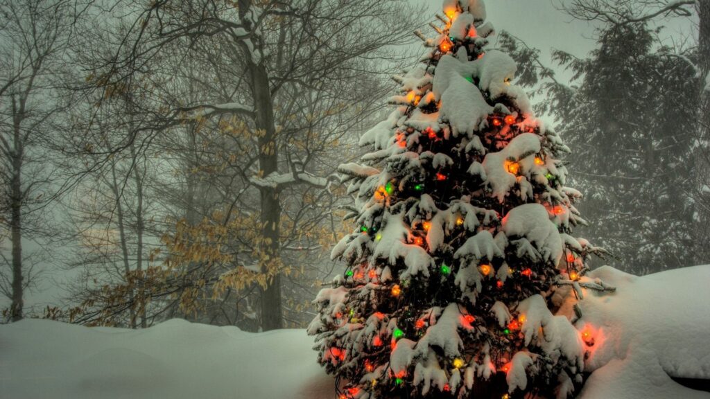 Charming Christmas Tree in Snowy Landscape: Festive Holiday Glow Wallpaper