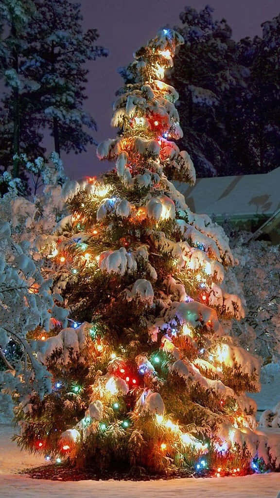 Festive Christmas Tree in Snowy Landscape: Colorful Winter Glow Wallpaper
