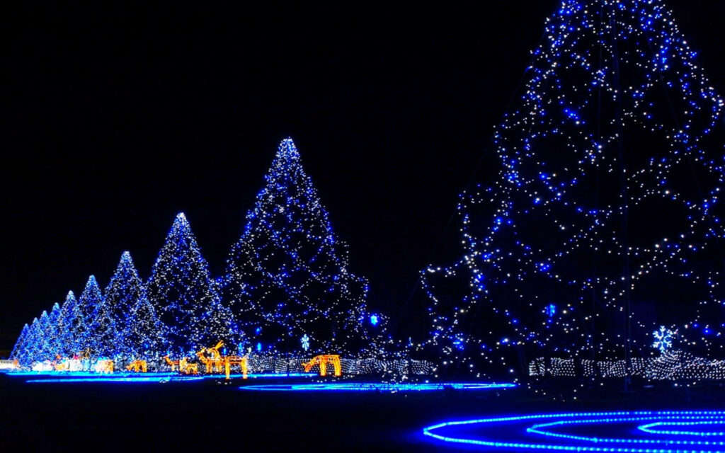 Merry Yuletide Bliss: Mesmerizing Rows of Festive Christmas Trees, Adorned with Blue Lights and LED Reindeer, Illuminate the Joyous Season Wallpaper