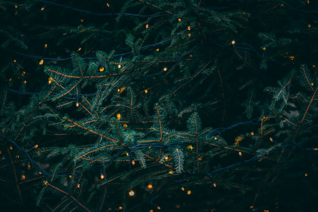 Cozy Holiday Wallpaper: Lush Spruce with Warm Yellow Lights