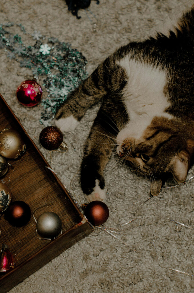 Festive Tabby Cat Among Colorful Christmas Decorations Wallpaper