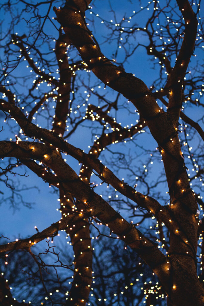 Festive Holiday Wallpaper: Twinkling Tree Lights & Dusky Sky