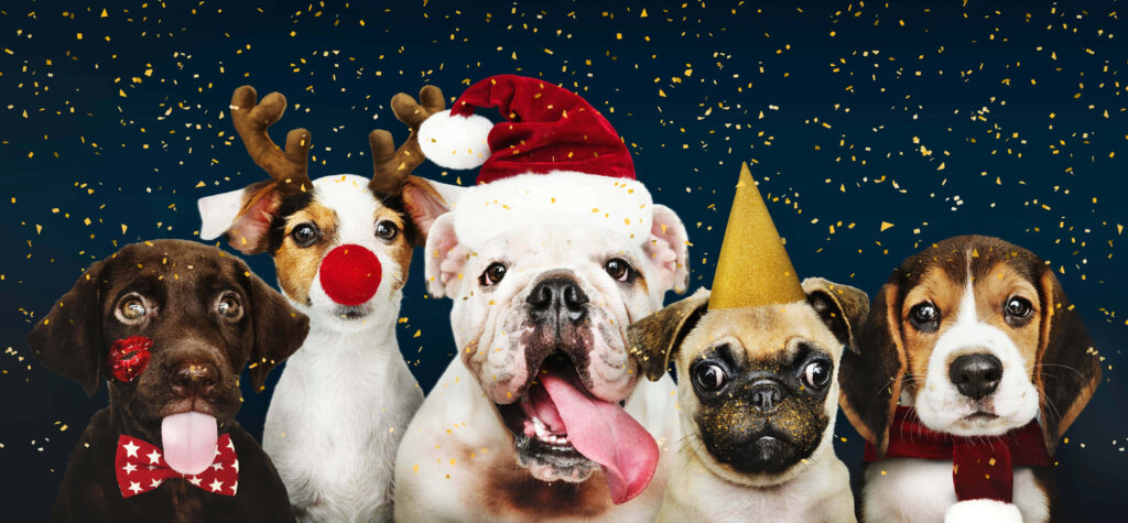 Adorable Dogs in Christmas Attire: Festive Wallpaper Joy