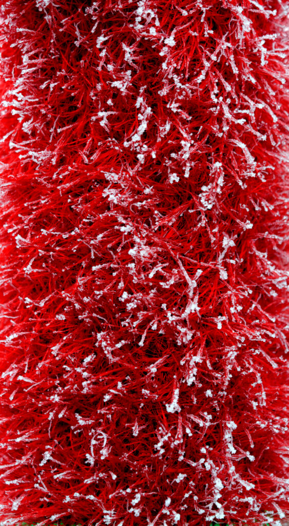 Festive Red Grass Wallpaper with White Snow Texture Background