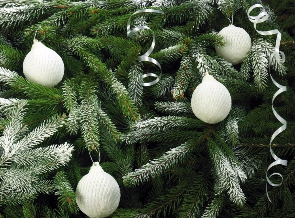 Snow-Dusted Tree Needles: Elegant Holiday Wallpaper Background