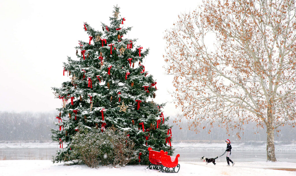 Festive Winter Wonderland: Christmas Tree, Sleigh, & Snowy Stroll Wallpaper