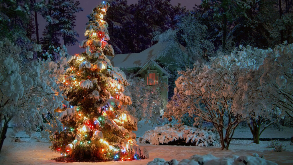 Enchanting Winter Wonderland with Decorated Christmas Tree Wallpaper