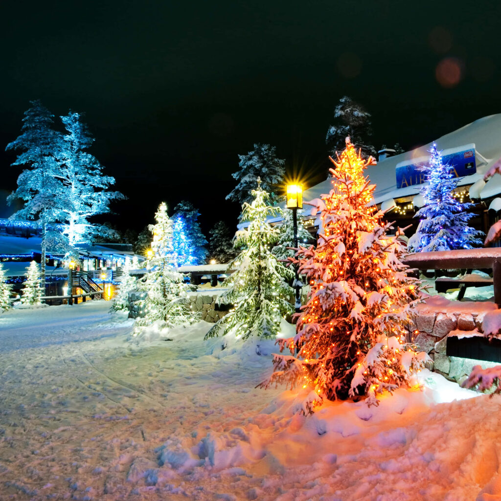 Festive Winter Wonderland Wallpaper: Snowy Pines & Colorful Lights