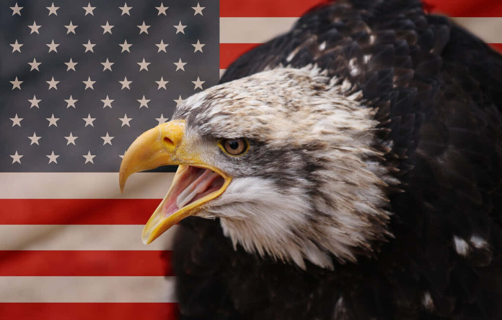 Fierce American eagle with open beak in front of US flag symbolizing strength patriotism wallpaper