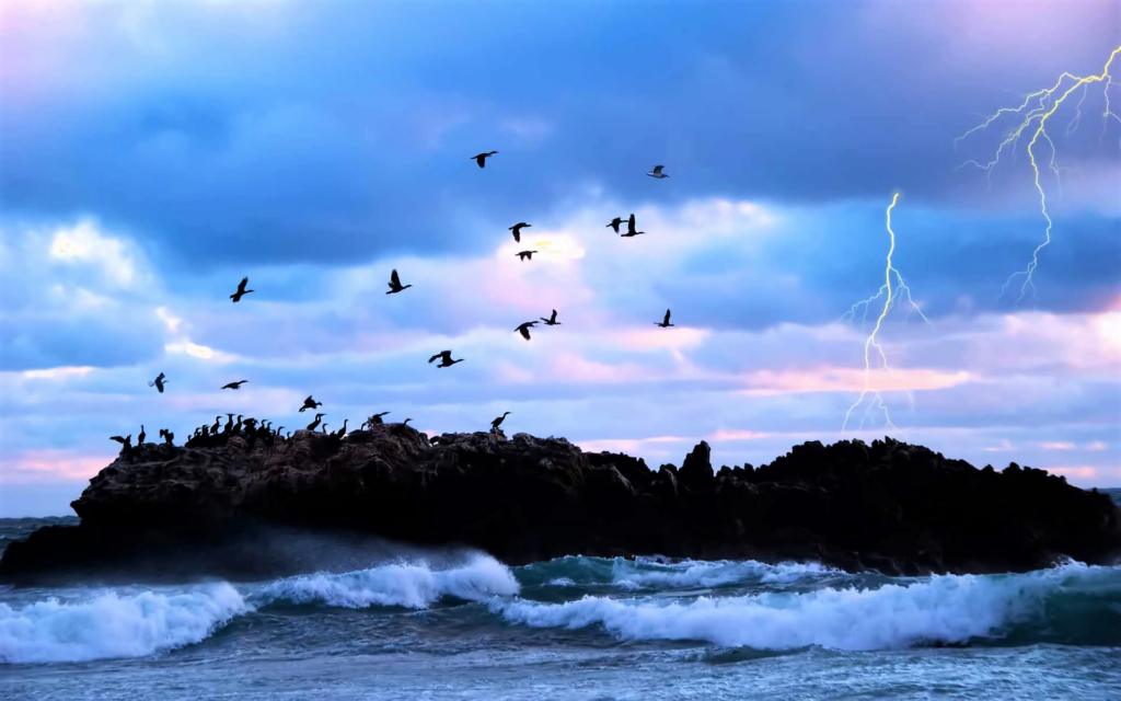 Electrifying Sunset: A Majestic Lightning Storm over the Ocean with Seagulls in the Background Wallpaper