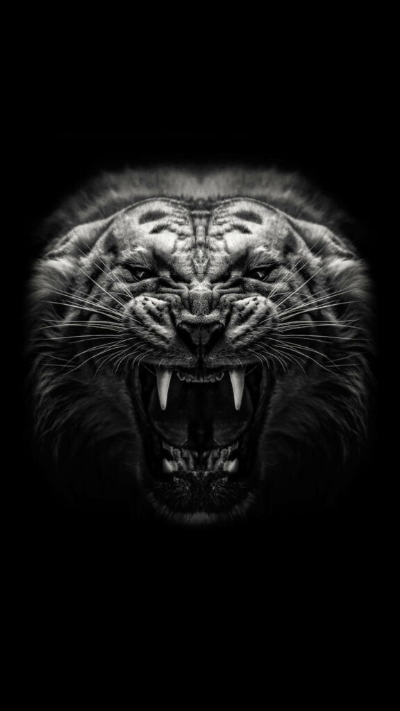 Fierce Black Tiger Roaring Wallpaper - Monochrome Dramatic Background