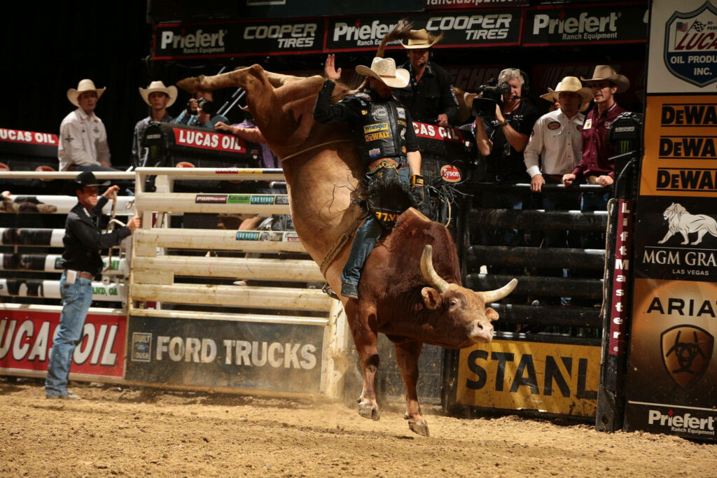 Fierce bull bucking in rodeo arena rider gripping tight intense Western bull riding action wallpaper