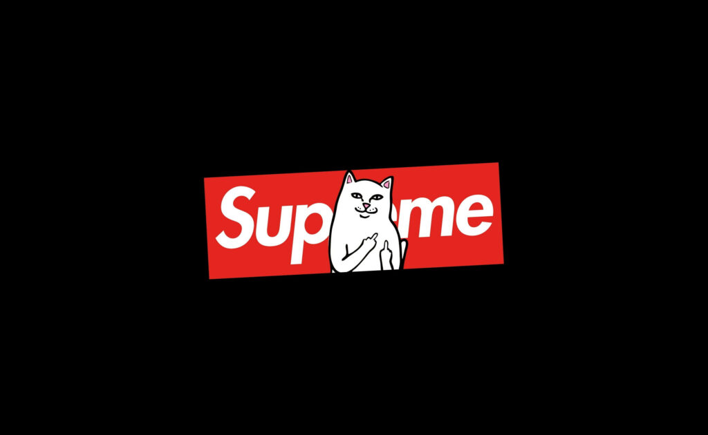 Feline Fury: Supreme's Laptop Wallpaper featuring an Angry White Cat