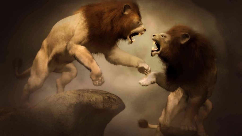 Two male lions fiercely battling with flying manes in dramatic sepia-toned digital art wallpaper