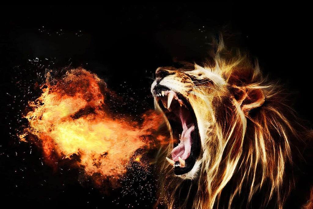 Fierce Lion Roaring in Flames - Dramatic Dark Background Wallpaper