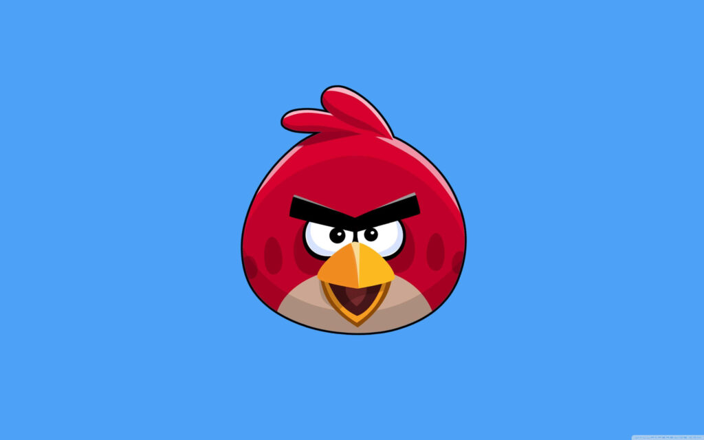 Red Angry Bird wallpaper with fierce expression on solid blue background classic game design