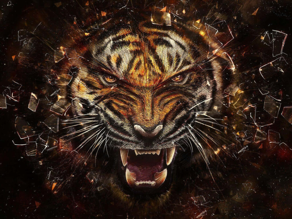 Vibrant Sumatran Tiger Wallpaper: Fierce Face & Untamed Energy