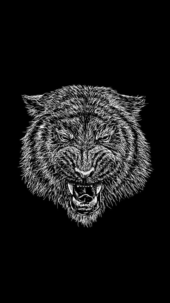 Fierce Tiger Line Drawing Wallpaper: Bold Black Background Art