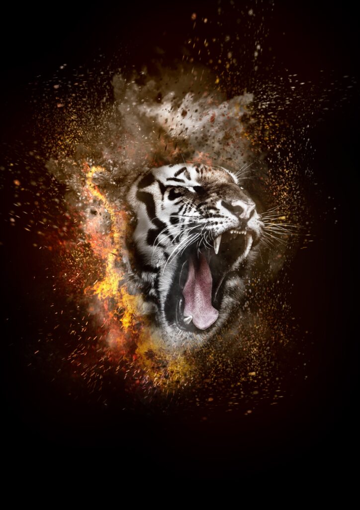Vibrant Tiger Roaring in Flames - Dynamic Digital Wallpaper