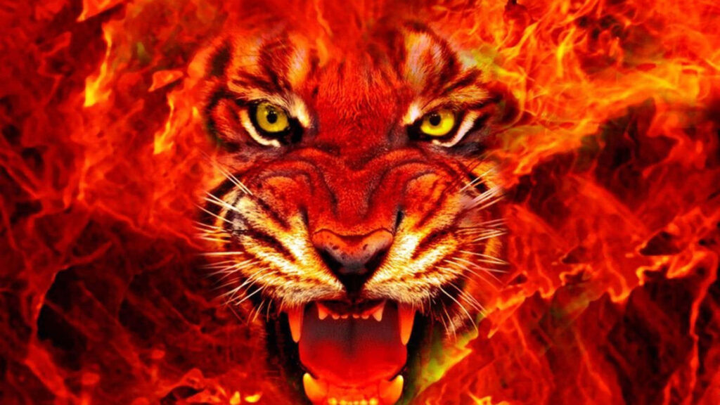 Fierce Tiger Wallpaper: Vibrant Flames in Bold Orange & Red Background