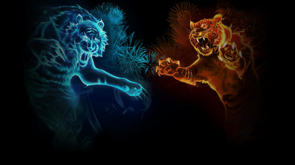 Dynamic Tiger Clash Wallpaper: Blue & Red Duel on Dark Background
